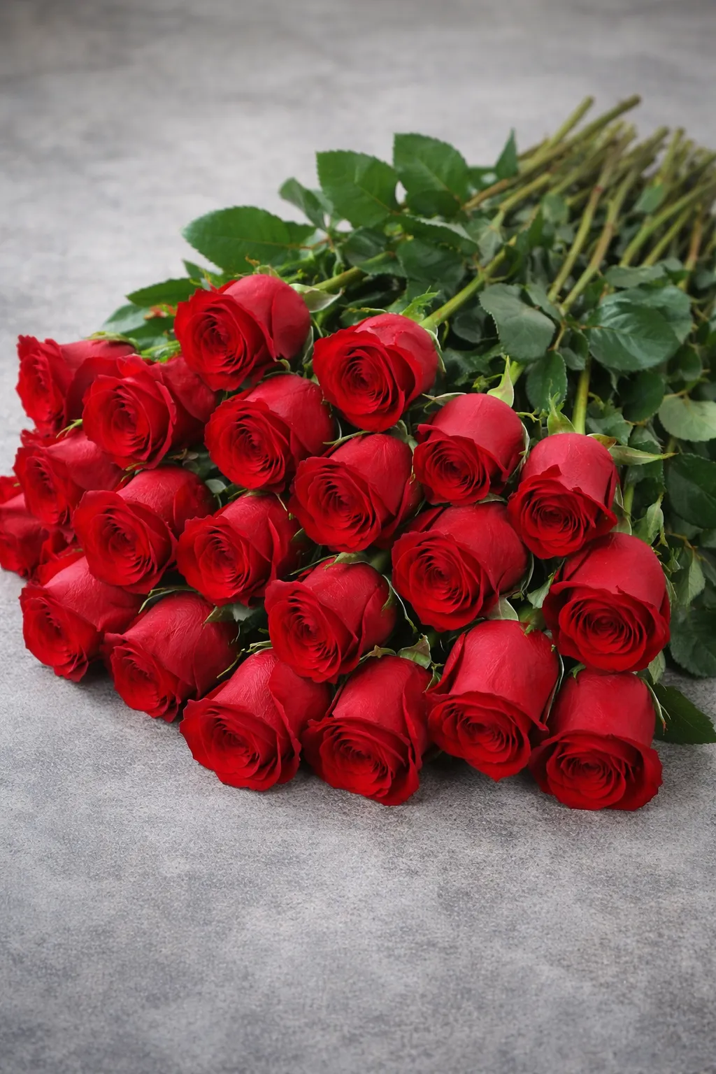 Valentine Red Roses (10 piece)